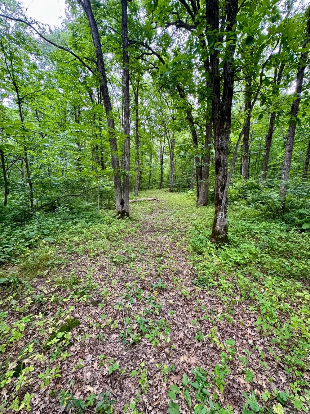 UNASSIGNED 155th Avenue Milaca, MN 56353