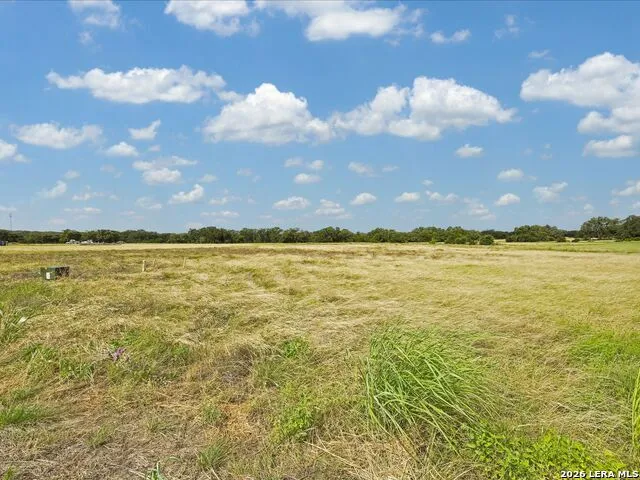 733 Annabelle Avenue Bulverde, TX 78163