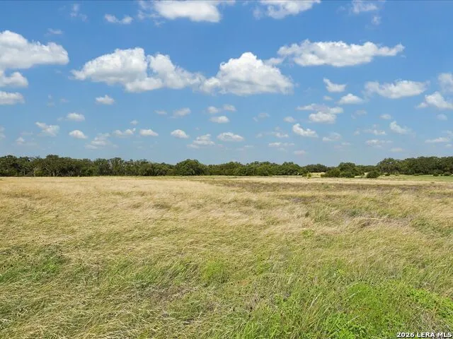 733 Annabelle Avenue Bulverde, TX 78163