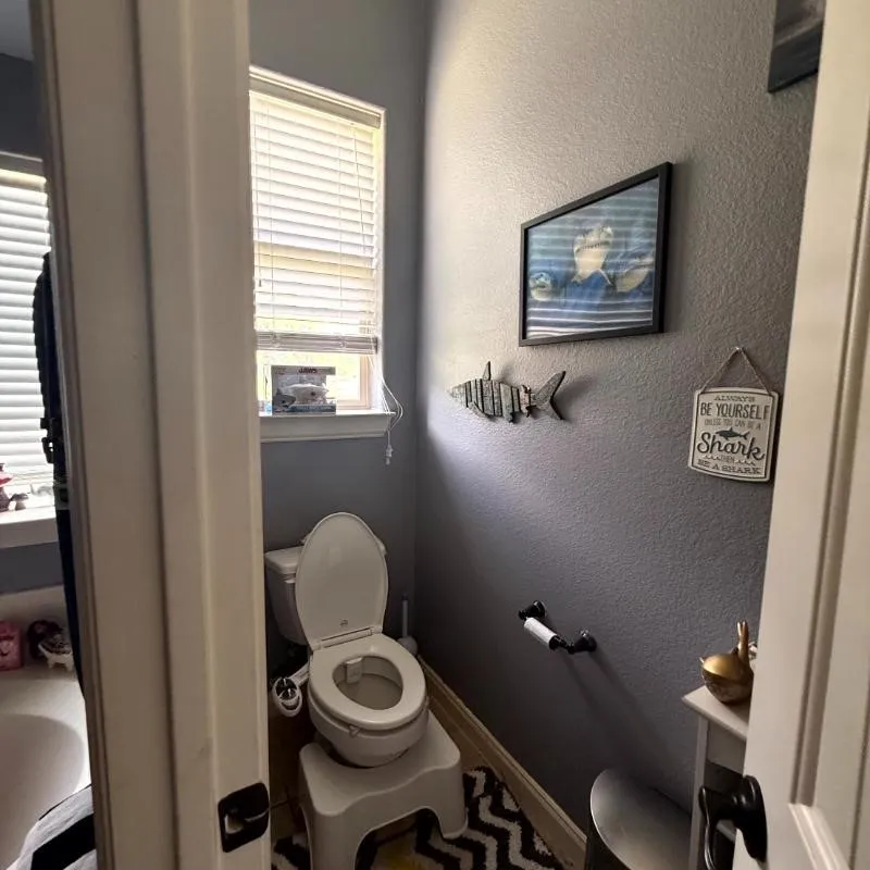 11909 Caddo Creek Drive Lavon, TX 75166