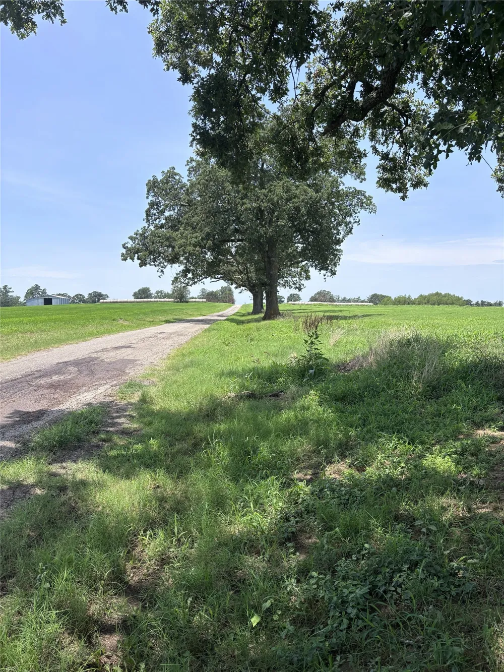 Fm 900 Saltillo, TX 75478