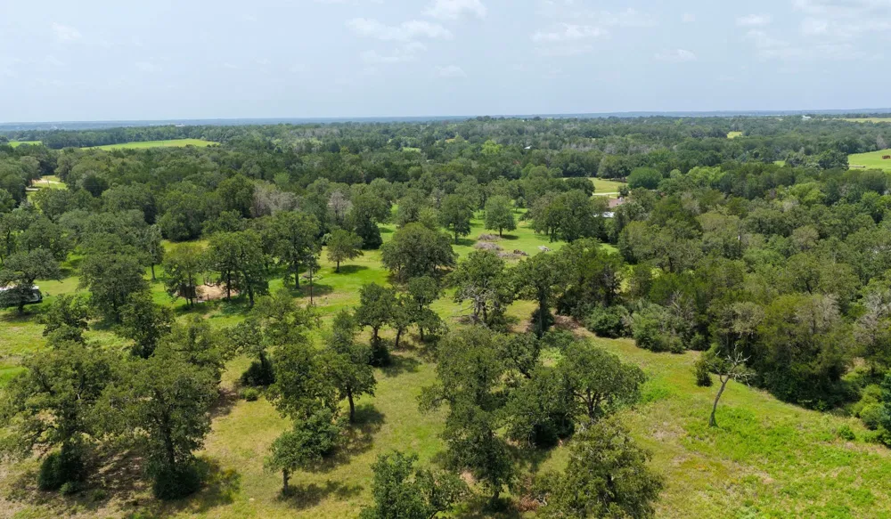 1016 Private Road 7040 Lexington, TX 78947