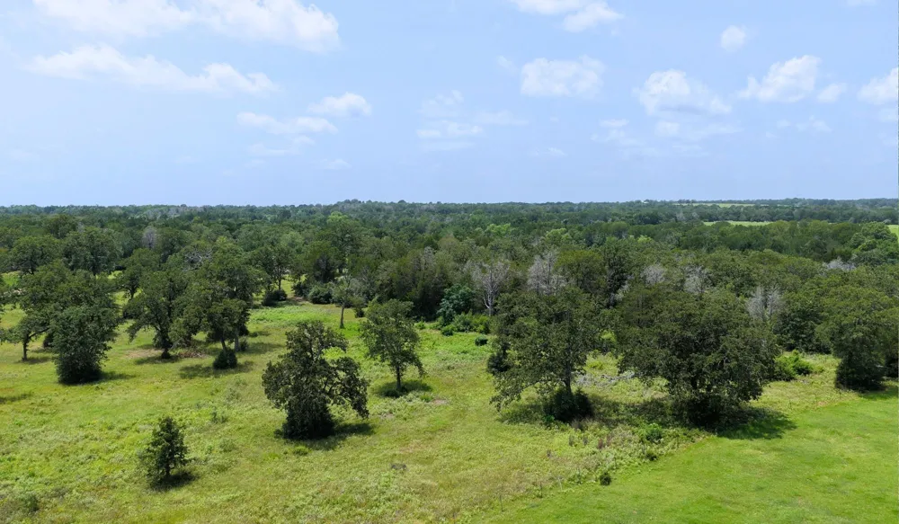 1016 Private Road 7040 Lexington, TX 78947