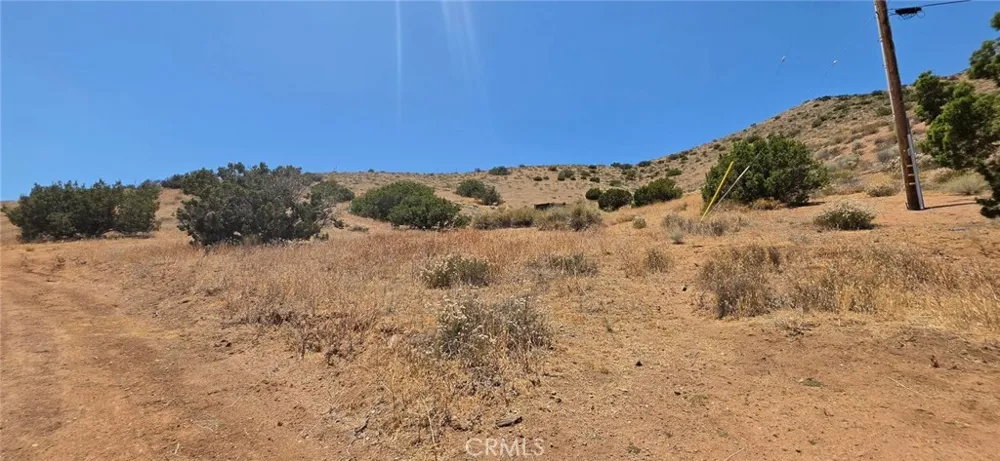33805 Buffalo Ridge Acton, CA 93510