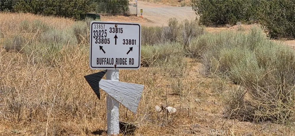 33805 Buffalo Ridge Acton, CA 93510