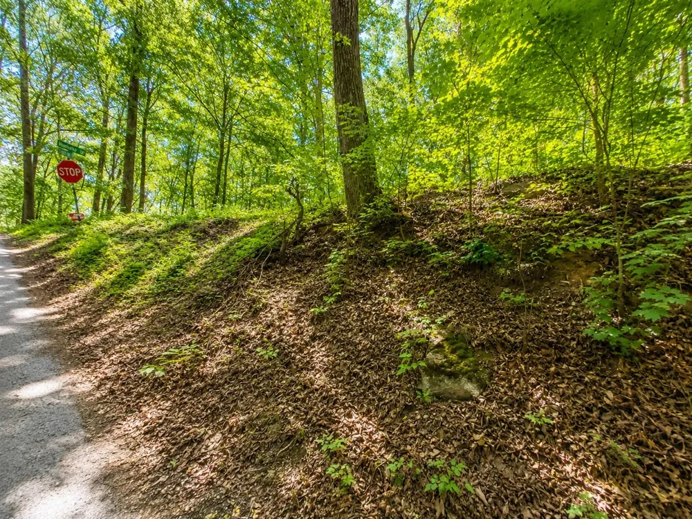 0 Lakeside Dr Smithville, TN 37166