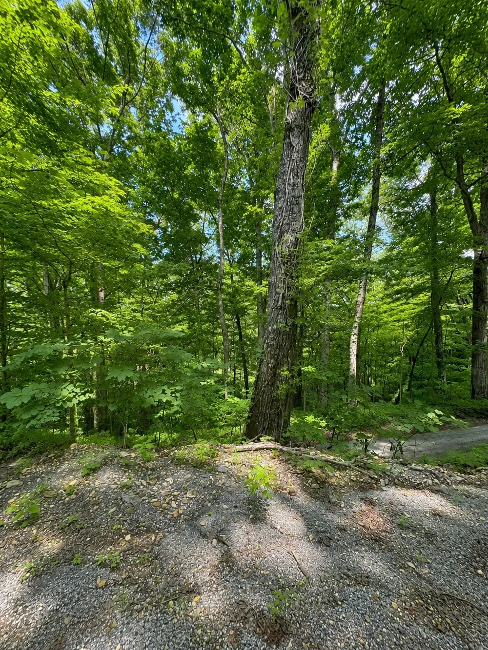 0 Lakeside Dr Smithville, TN 37166