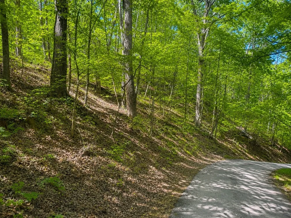 0 Lakeside Dr Smithville, TN 37166