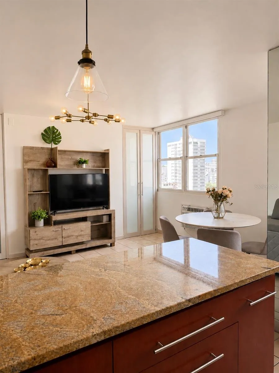 1305 MAGDALENA AVENUE #10B San Juan, PR 00907