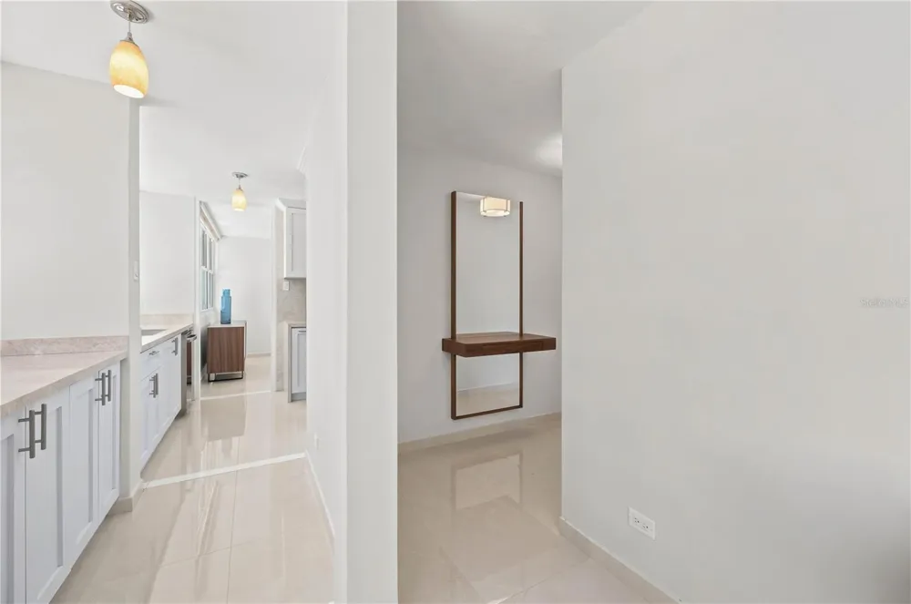 1503 ASHFORD AVENUE #3C San Juan, PR 00911