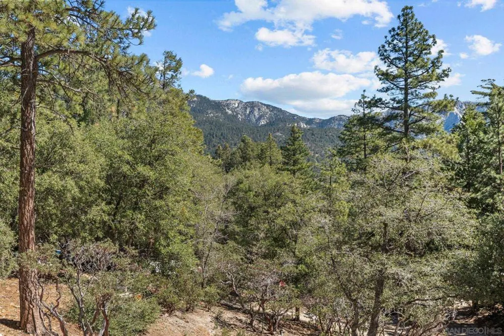 52910 Cedar Dr Idyllwild, CA 92549