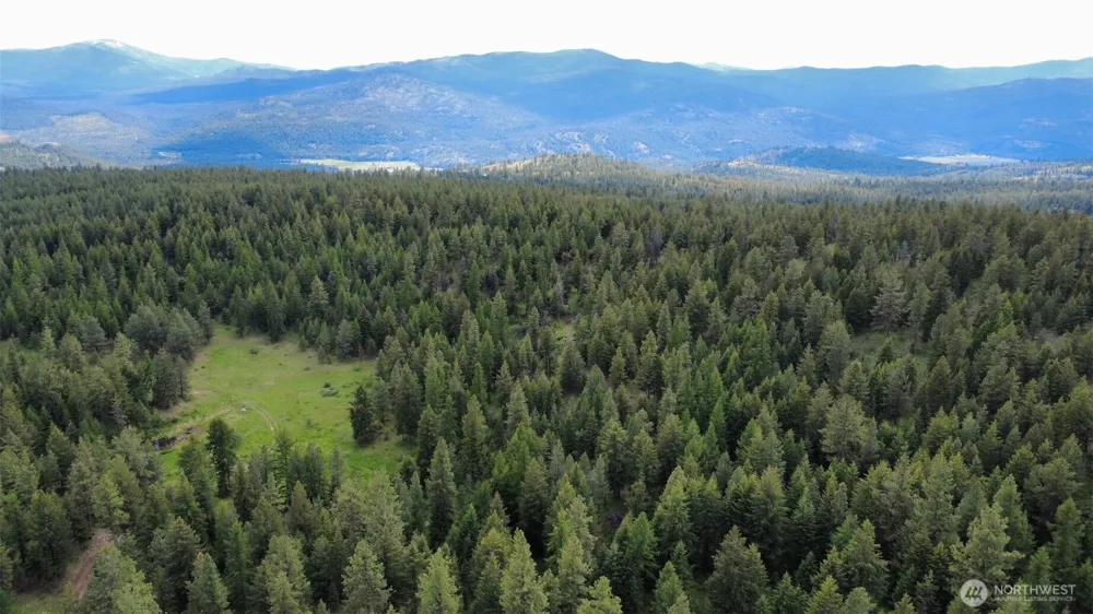 0 TBD Blue Meadow Rd Tonasket, WA 98855