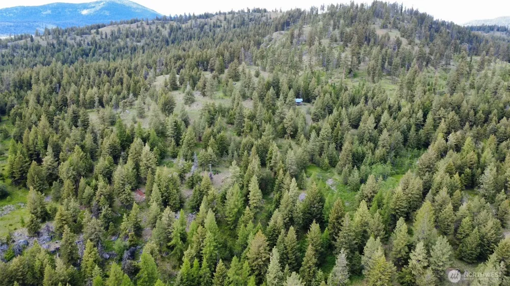 0 TBD Blue Meadow Rd Tonasket, WA 98855
