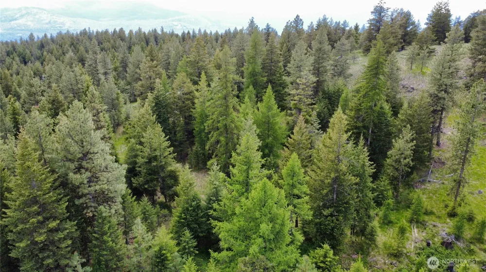 0 TBD Blue Meadow Rd Tonasket, WA 98855