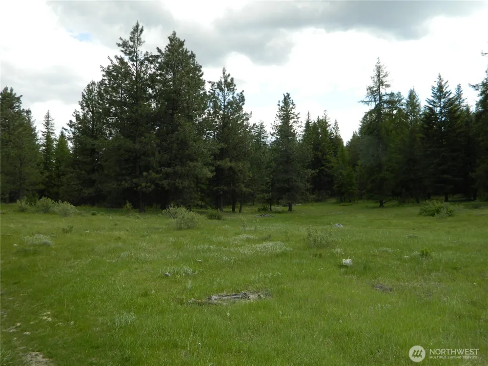 0 TBD Blue Meadow Rd Tonasket, WA 98855