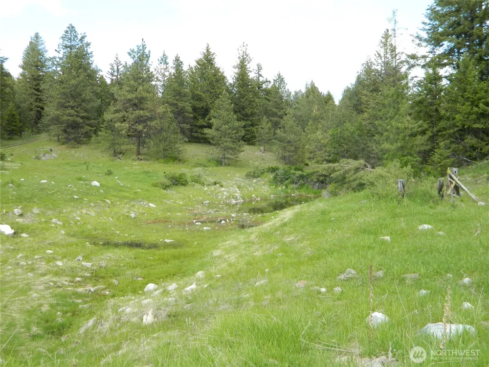 0 TBD Blue Meadow Rd Tonasket, WA 98855