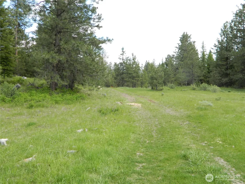 0 TBD Blue Meadow Rd Tonasket, WA 98855