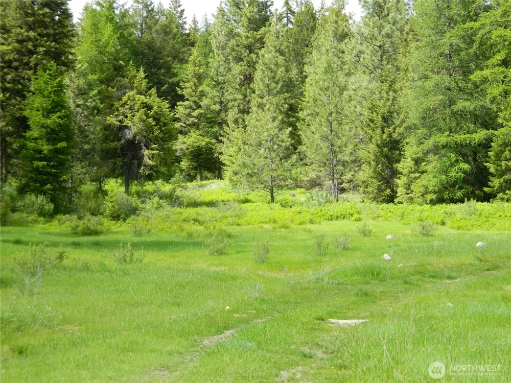 0 TBD Blue Meadow Rd Tonasket, WA 98855