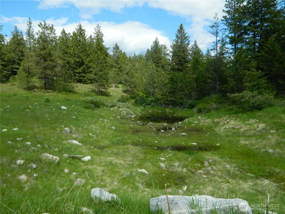 0 TBD Blue Meadow Rd Tonasket, WA 98855