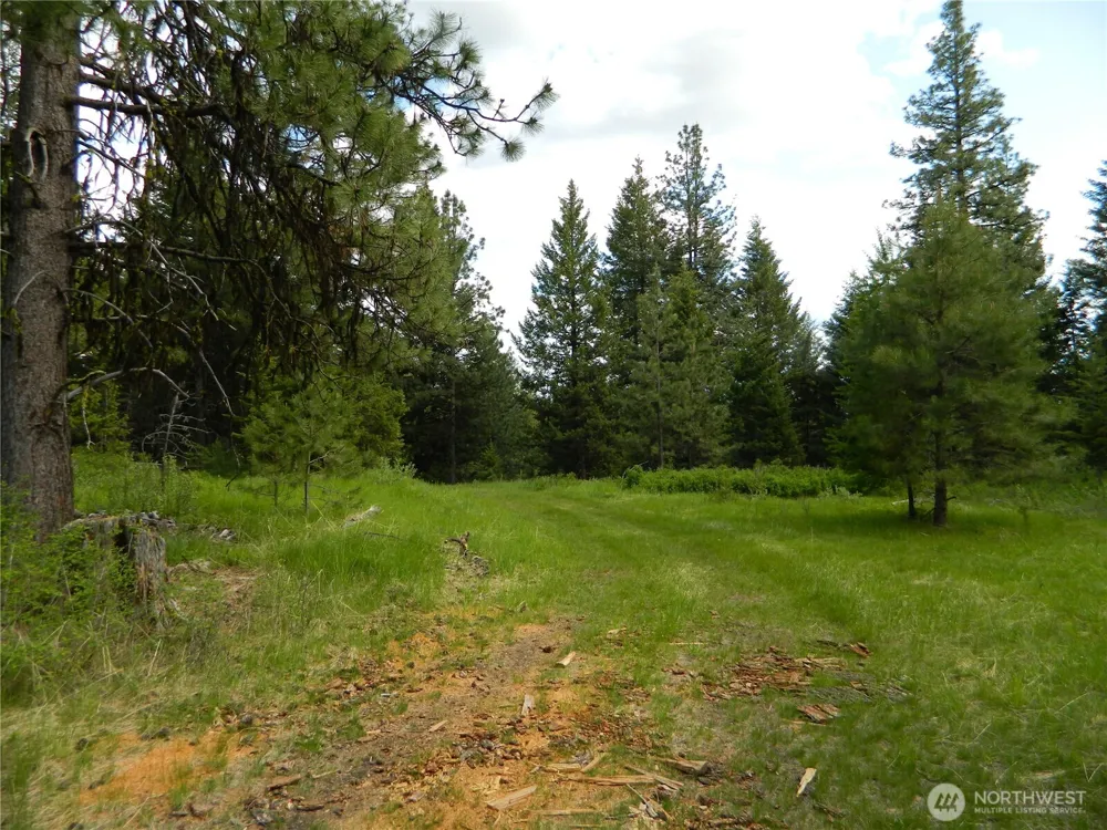 0 TBD Blue Meadow Rd Tonasket, WA 98855