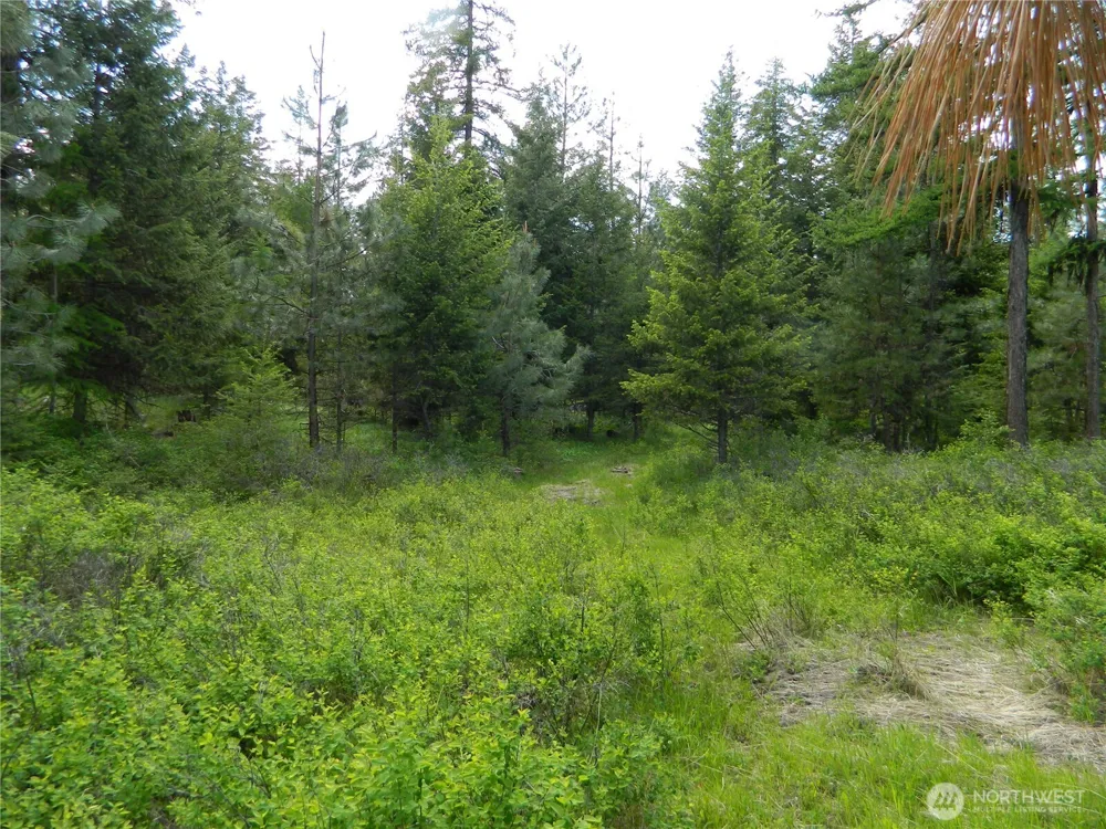 0 TBD Blue Meadow Rd Tonasket, WA 98855