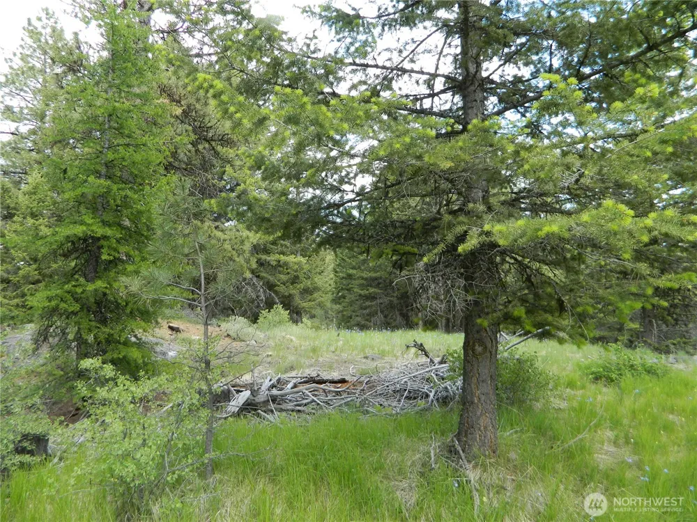 0 TBD Blue Meadow Rd Tonasket, WA 98855