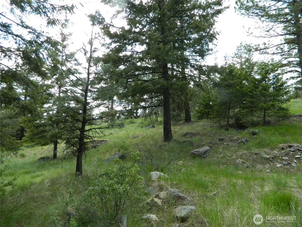 0 TBD Blue Meadow Rd Tonasket, WA 98855