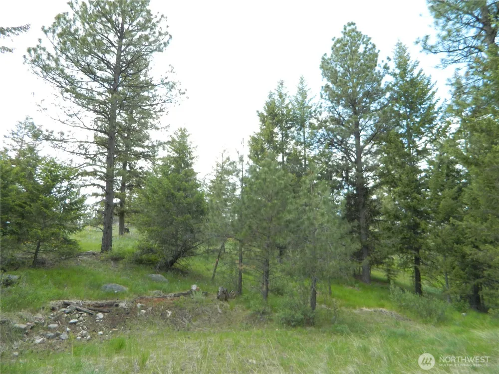 0 TBD Blue Meadow Rd Tonasket, WA 98855