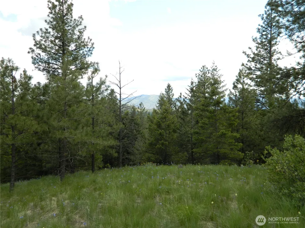 0 TBD Blue Meadow Rd Tonasket, WA 98855