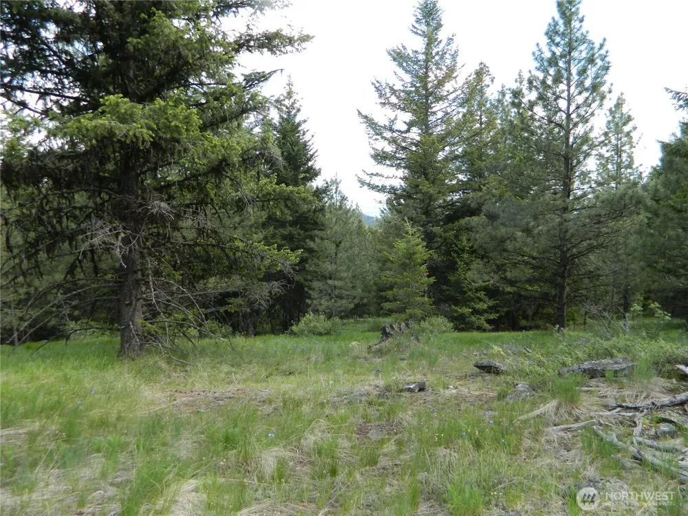 0 TBD Blue Meadow Rd Tonasket, WA 98855