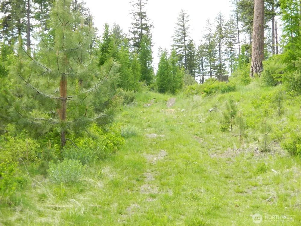 0 TBD Blue Meadow Rd Tonasket, WA 98855