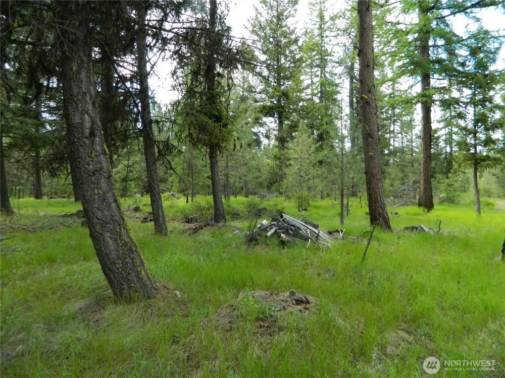 0 TBD Blue Meadow Rd Tonasket, WA 98855
