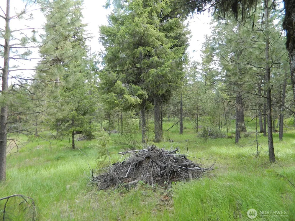 0 TBD Blue Meadow Rd Tonasket, WA 98855