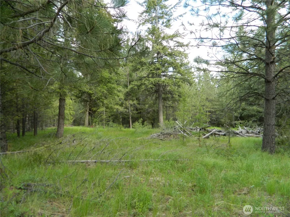 0 TBD Blue Meadow Rd Tonasket, WA 98855