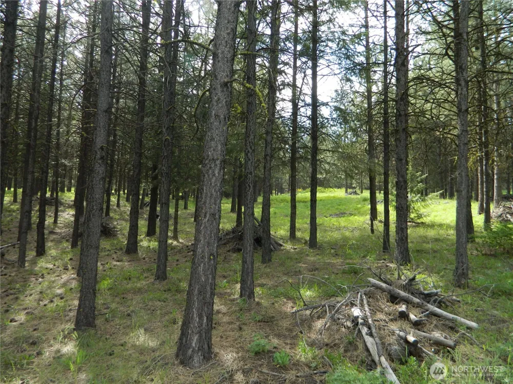0 TBD Blue Meadow Rd Tonasket, WA 98855