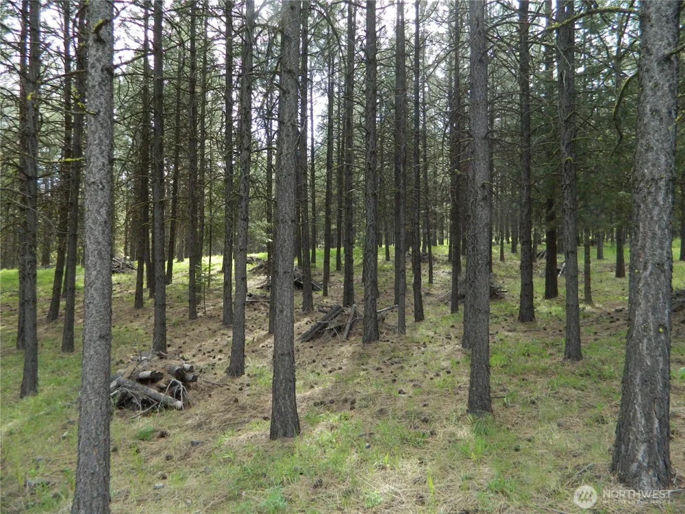 0 TBD Blue Meadow Rd Tonasket, WA 98855