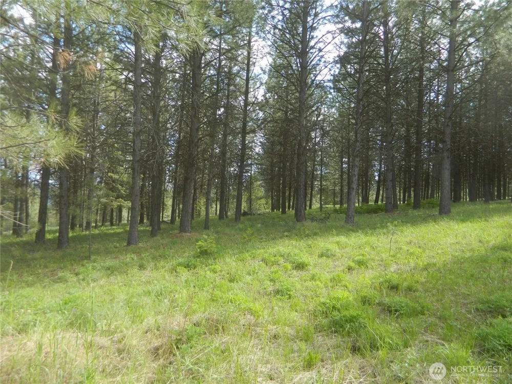 0 TBD Blue Meadow Rd Tonasket, WA 98855