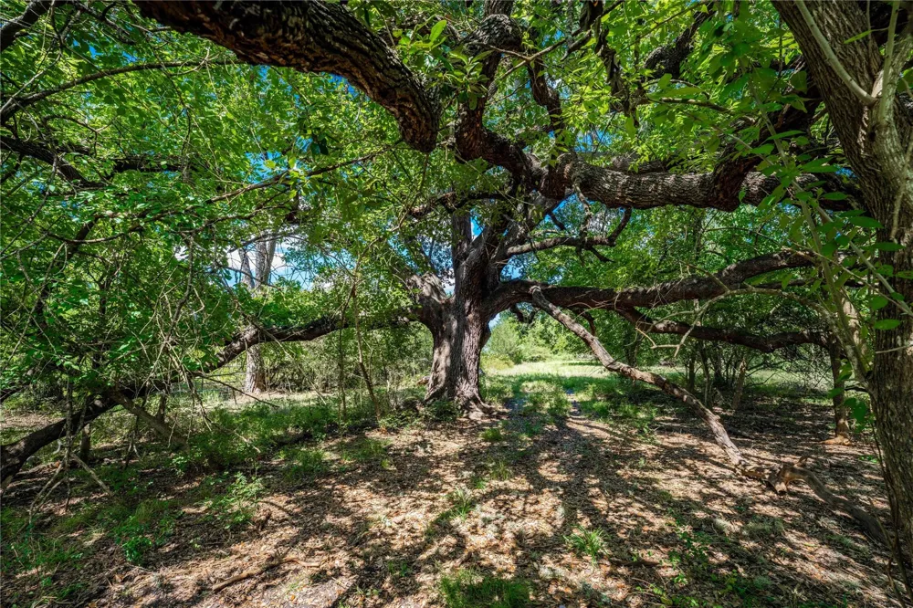 Cr 253 Weimar, TX 78962