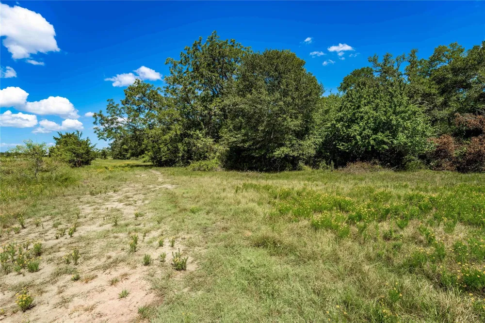 Cr 253 Weimar, TX 78962