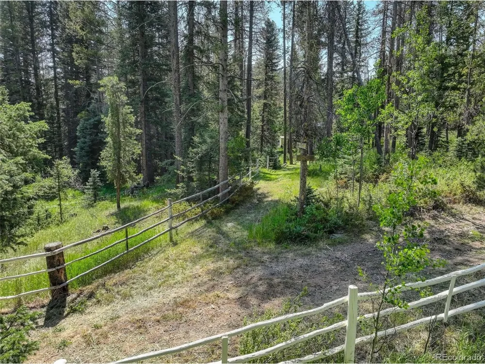 28942 Shadow Mountain Drive Conifer, CO 80433