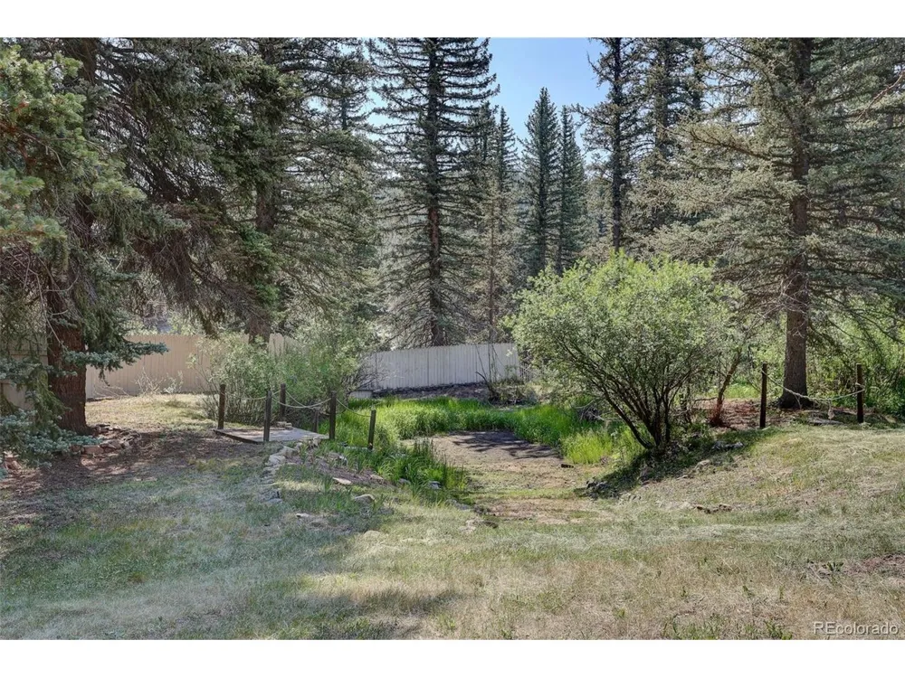 28942 Shadow Mountain Drive Conifer, CO 80433