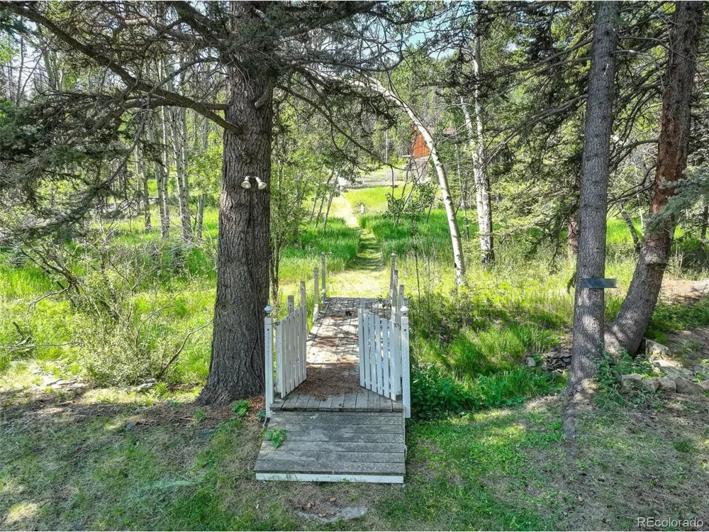 28942 Shadow Mountain Drive Conifer, CO 80433