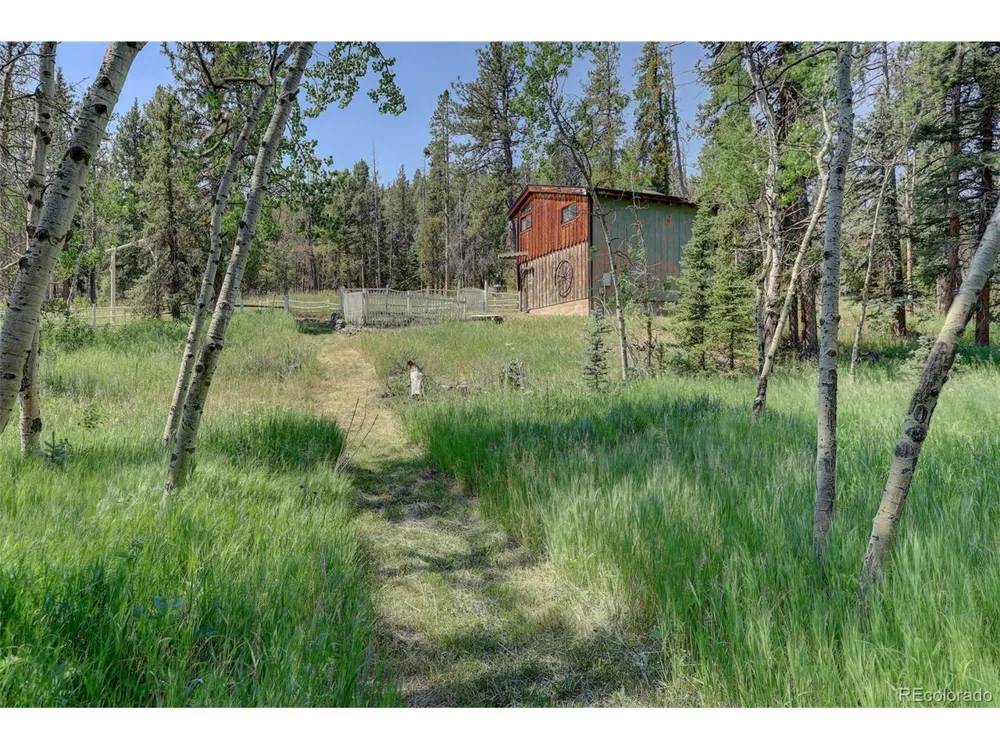 28942 Shadow Mountain Drive Conifer, CO 80433