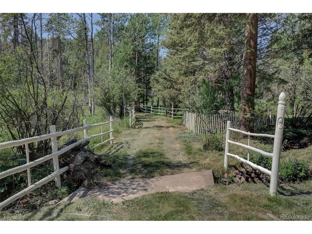 28942 Shadow Mountain Drive Conifer, CO 80433