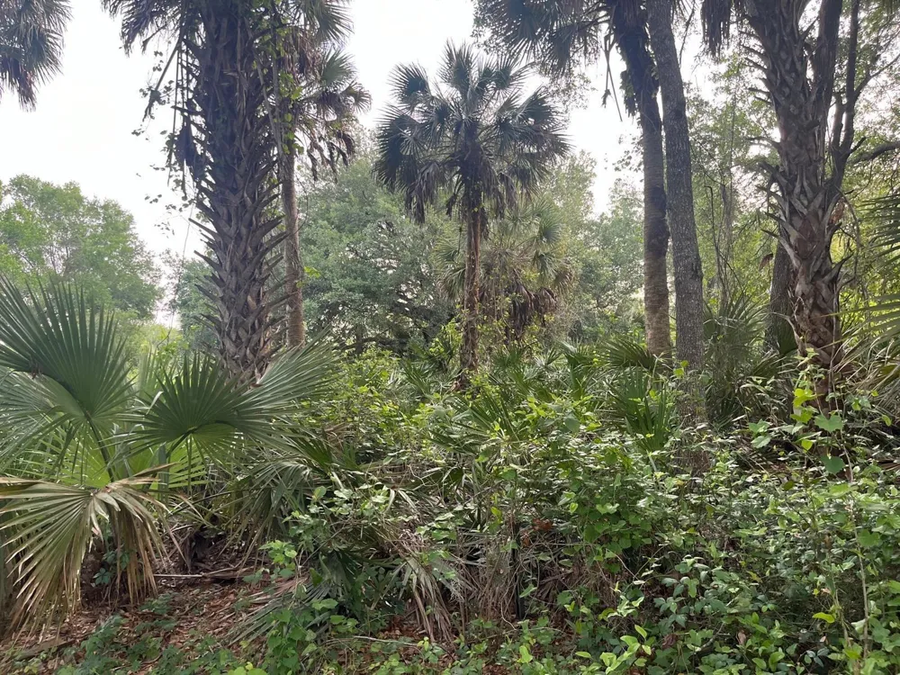 15148 NW 288th Street Okeechobee, FL 34972