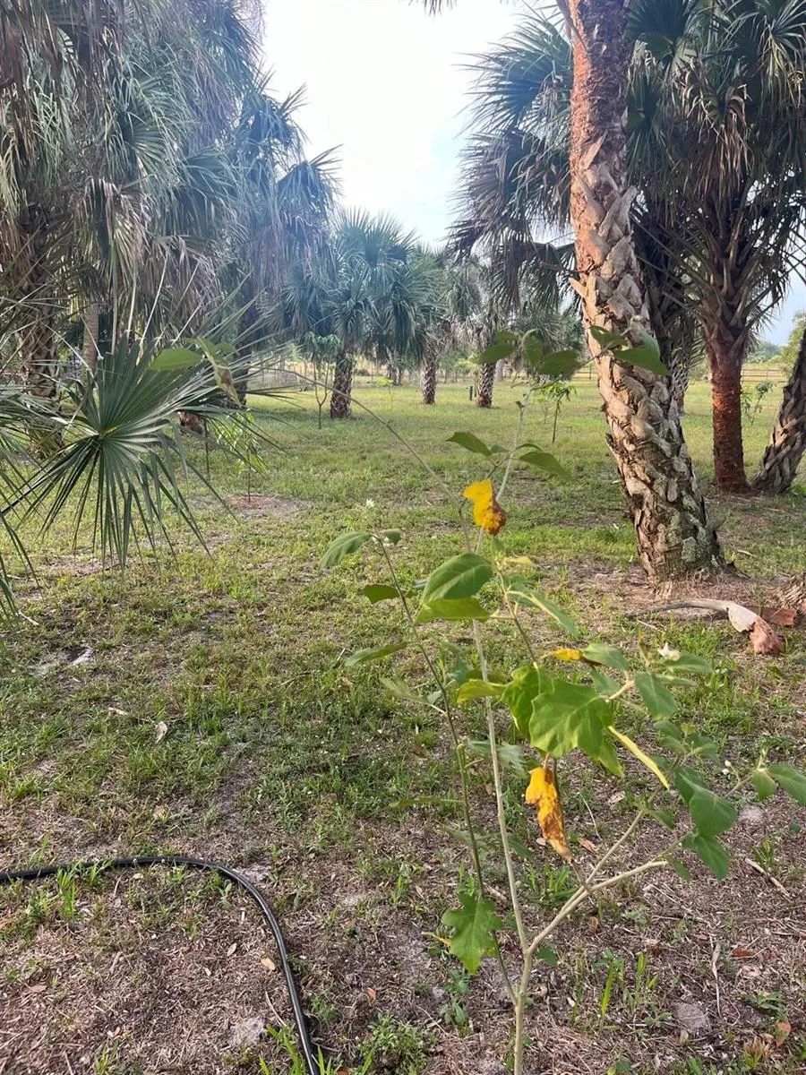 15148 NW 288th Street Okeechobee, FL 34972