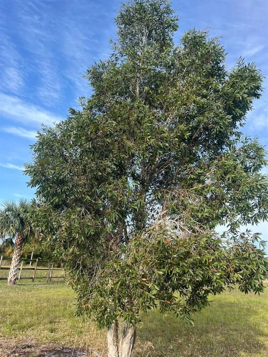 15148 NW 288th Street Okeechobee, FL 34972