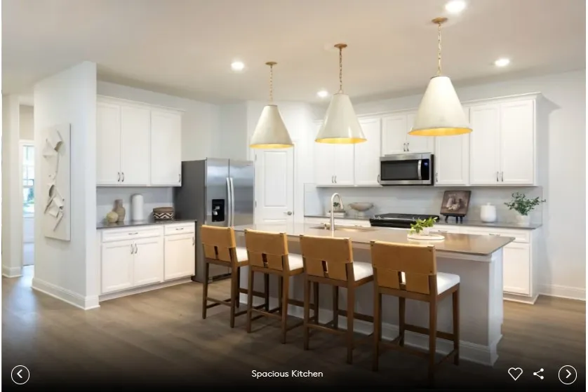 13304 Cuchillo Path Manor, TX 78653
