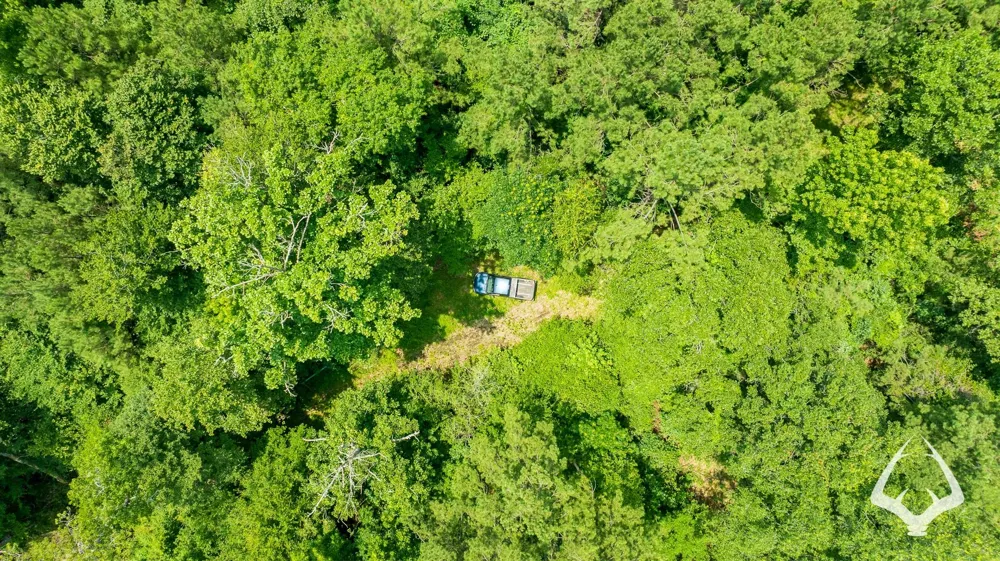 County Road 1058 Jasper, TX 75977