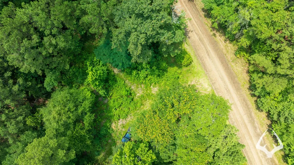 County Road 1058 Jasper, TX 75977